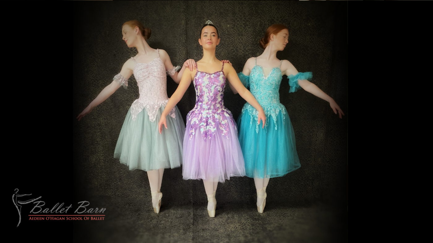 Ballet Barn Twitter