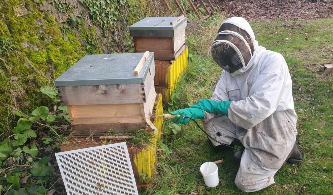 Hive Minded Visual web jpg