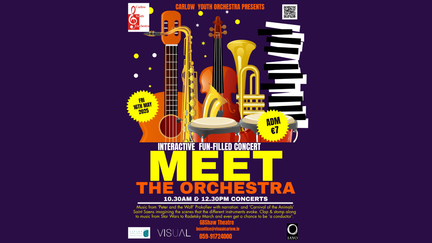 MUSIC CONCERT FLYER 1 copy
