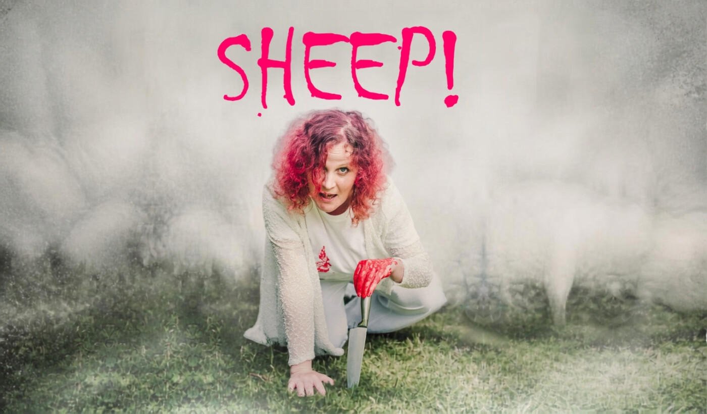 Sheep Visual web