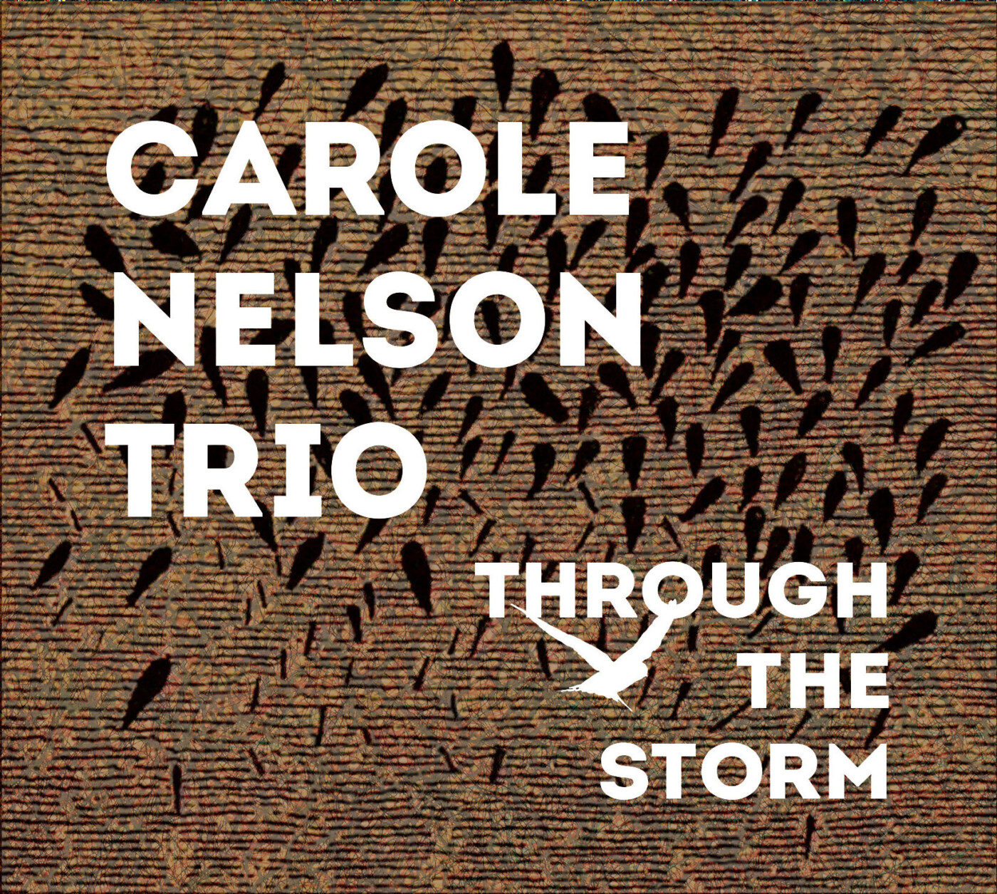 Carole Nelson Trio Through the Storm CD cover