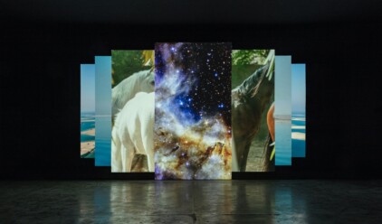 Amie Siegel Picture