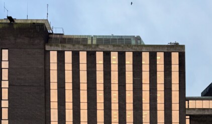 IMG 7643