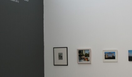 Civilising the Wilderness - Open Submission Carlow Arts Festival 2012