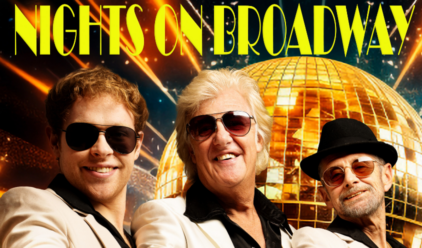 Bee Gee Visual web png