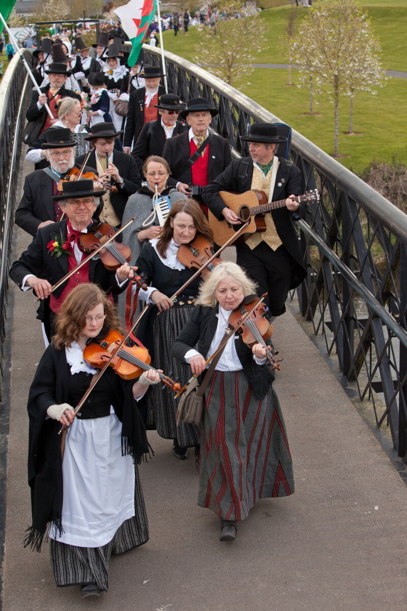 The Celts are coming to Carlow
