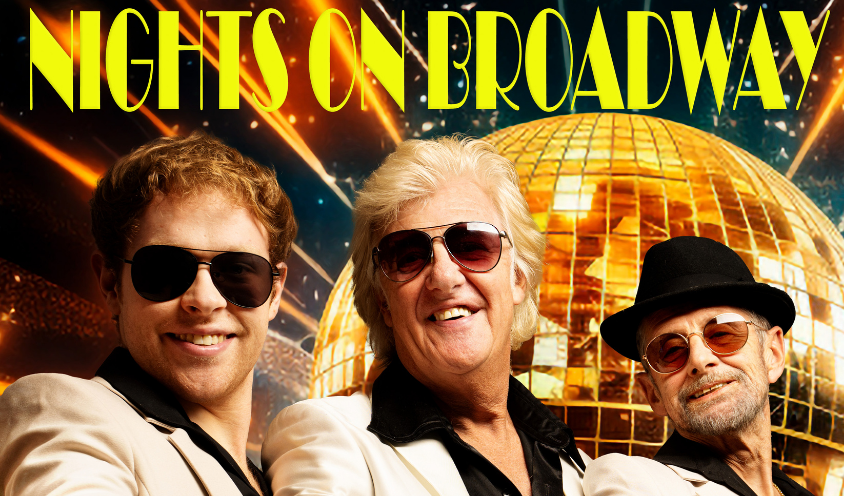 Bee Gee Visual web png