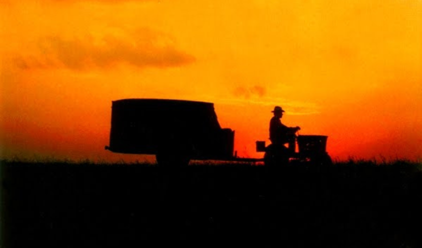 The Straight Story Website Image