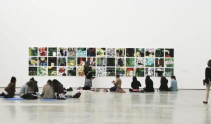 Leaving Cert Tour at VISUAL Samuel Walsh The Coercion of Substance