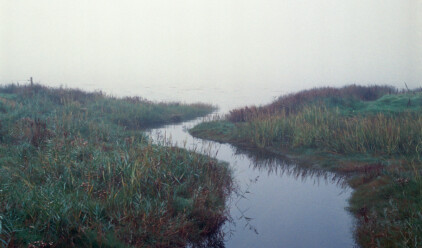 SRWC 35mm 3