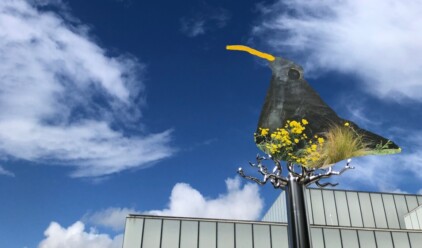 Visual sky bird landscape