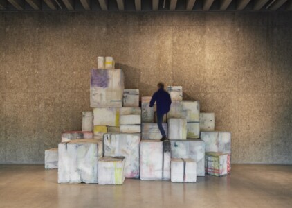 Spring 2020 Image by Ros Kavanagh